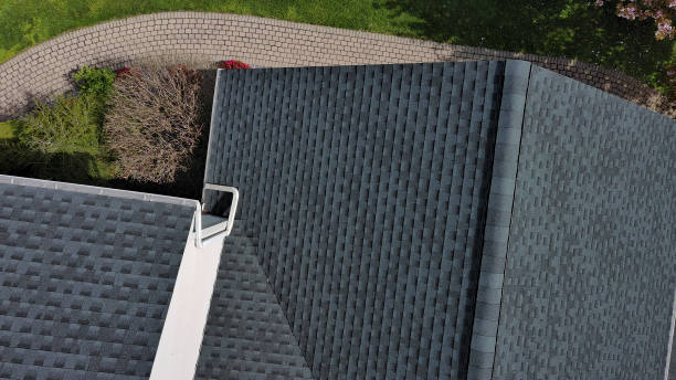 Best Roof Moss and Algae Removal  in Willmsburg, IA