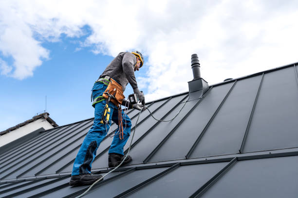 Best Solar Panel Roofing Installation  in Willmsburg, IA