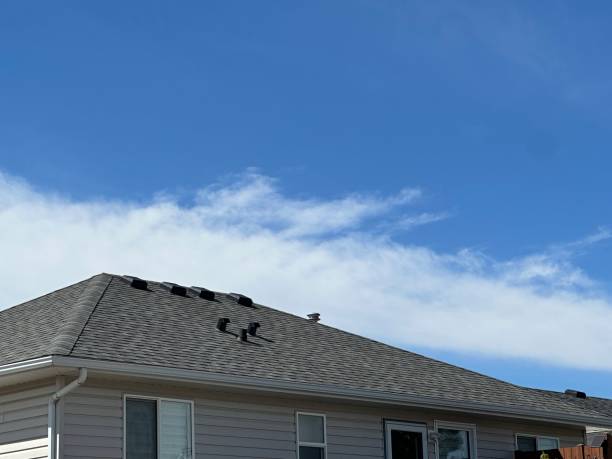 Best Storm Damage Roof Repair  in Willmsburg, IA